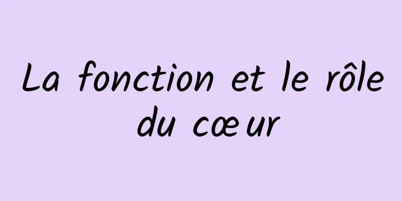 La fonction et le rôle du cœur