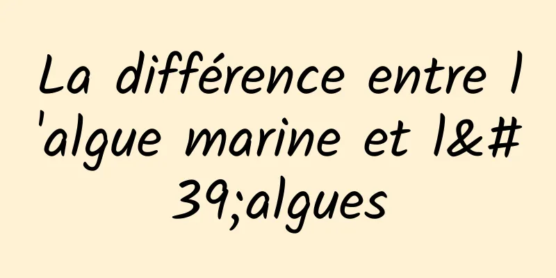 La différence entre l'algue marine et l'algues