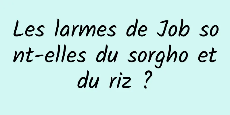 Les larmes de Job sont-elles du sorgho et du riz ? 