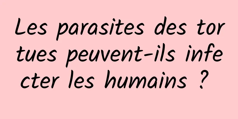 Les parasites des tortues peuvent-ils infecter les humains ? 