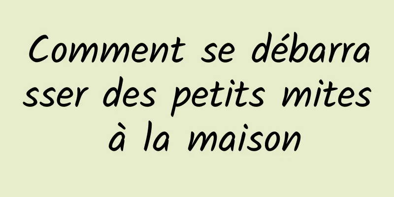 Comment se débarrasser des petits mites à la maison