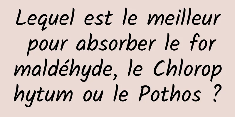 Lequel est le meilleur pour absorber le formaldéhyde, le Chlorophytum ou le Pothos ?