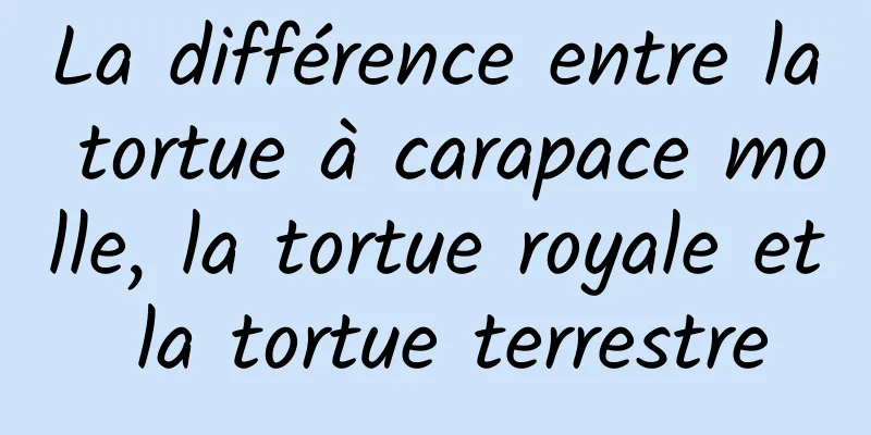 ​La différence entre la tortue à carapace molle, la tortue royale et la tortue terrestre