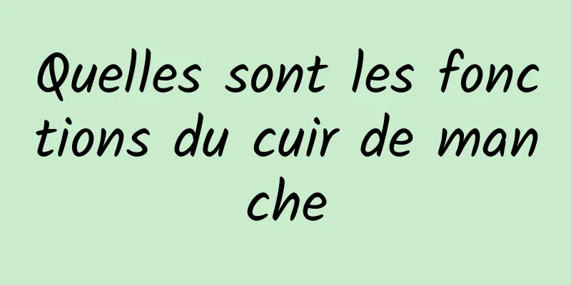 Quelles sont les fonctions du cuir de manche