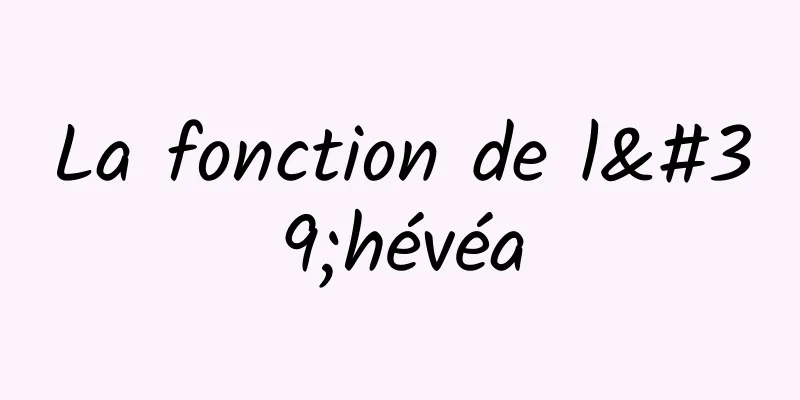 La fonction de l'hévéa