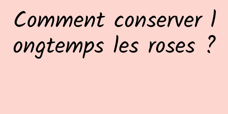 Comment conserver longtemps les roses ? 