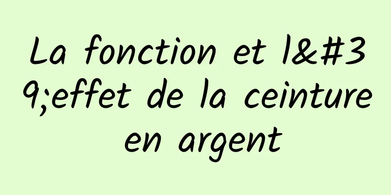 La fonction et l'effet de la ceinture en argent