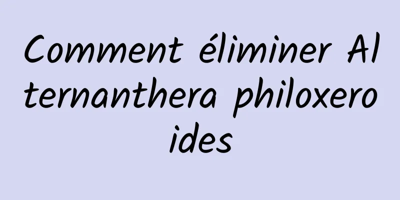 Comment éliminer Alternanthera philoxeroides