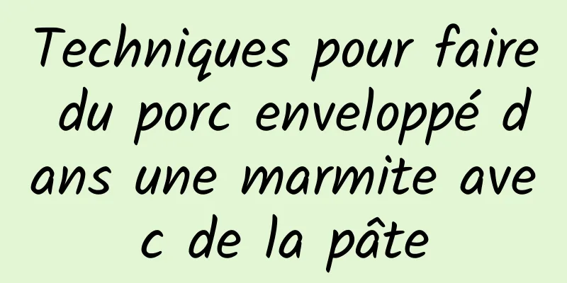 Techniques pour faire du porc enveloppé dans une marmite avec de la pâte