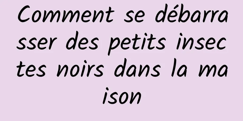 Comment se débarrasser des petits insectes noirs dans la maison