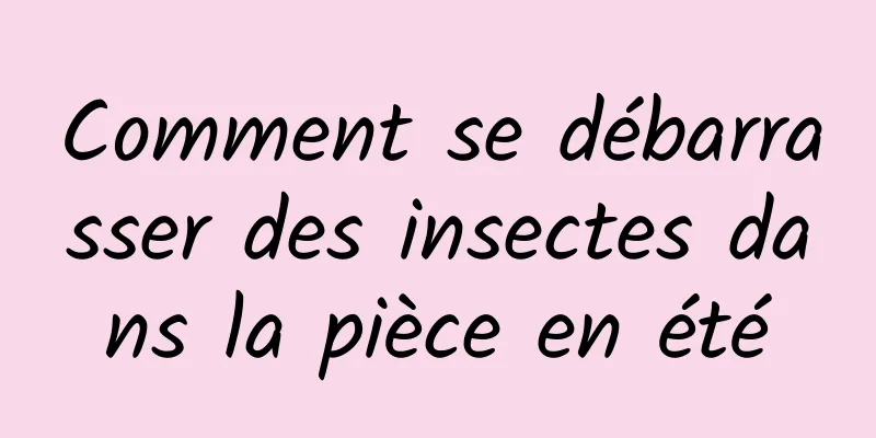 Comment se débarrasser des insectes dans la pièce en été