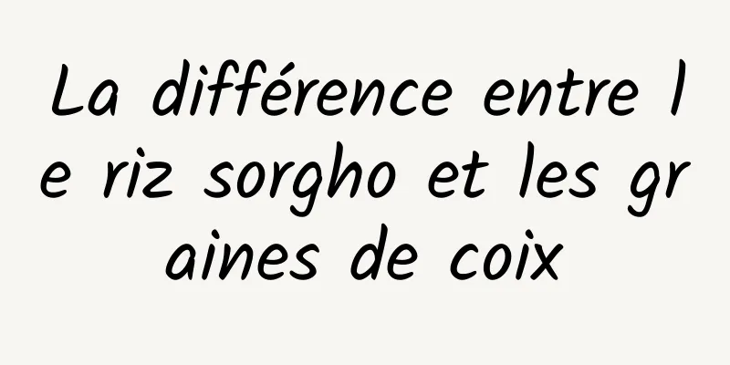 La différence entre le riz sorgho et les graines de coix