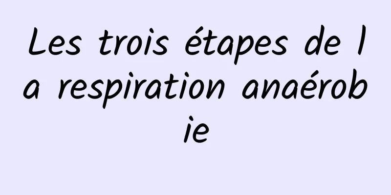 Les trois étapes de la respiration anaérobie