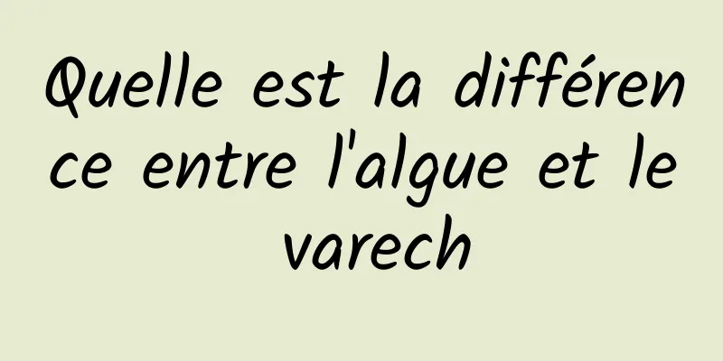 Quelle est la différence entre l'algue et le varech