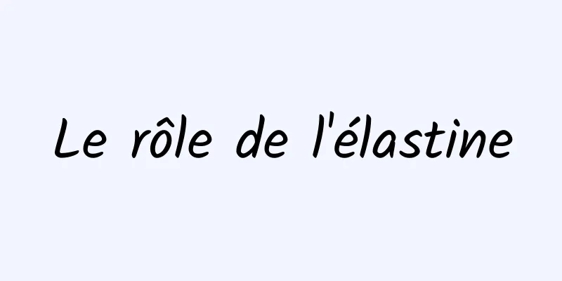 Le rôle de l'élastine