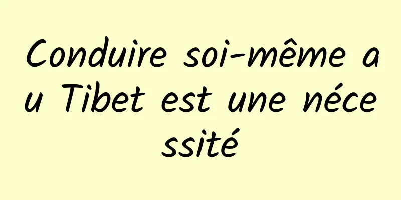 Conduire soi-même au Tibet est une nécessité