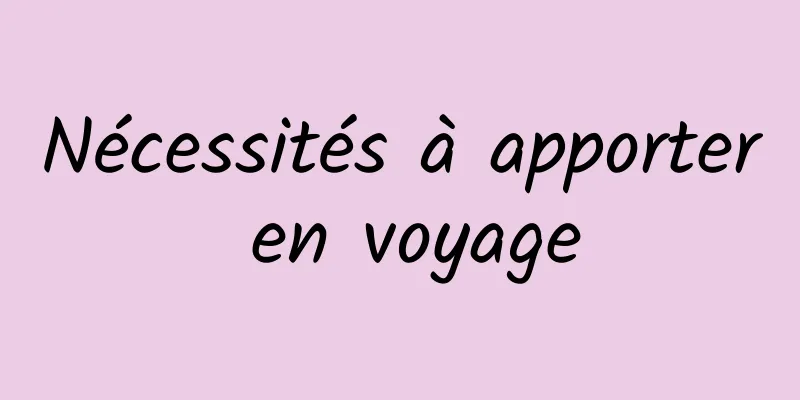 Nécessités à apporter en voyage