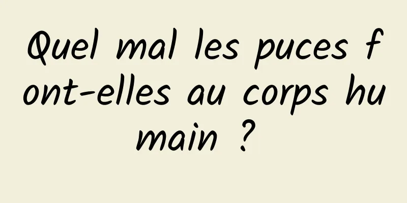 Quel mal les puces font-elles au corps humain ? 