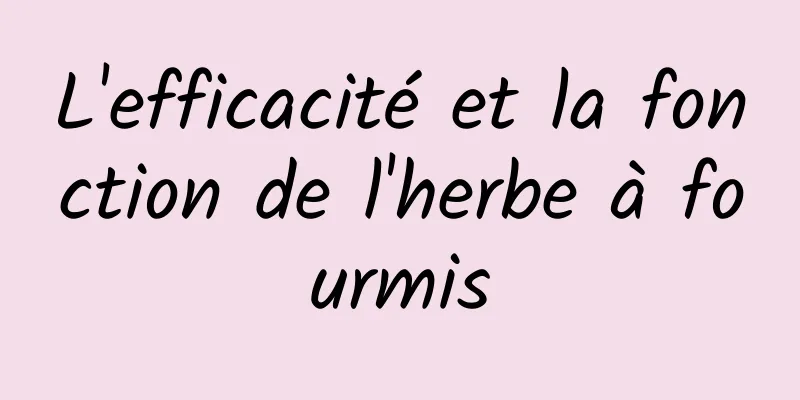 ​L'efficacité et la fonction de l'herbe à fourmis