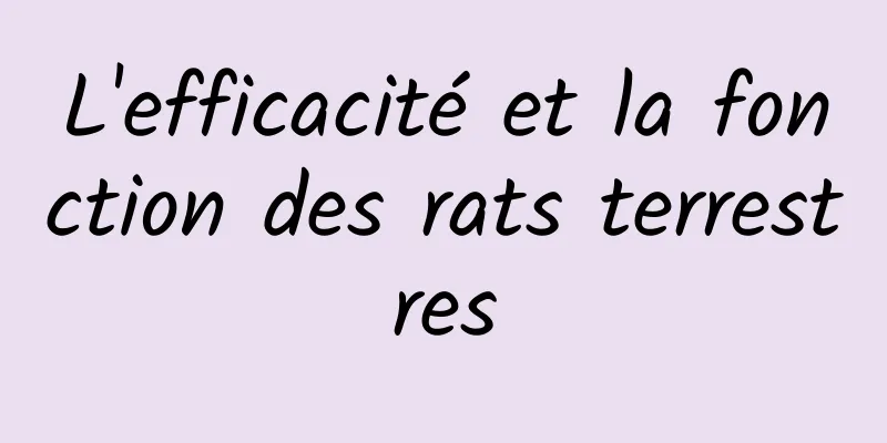 L'efficacité et la fonction des rats terrestres