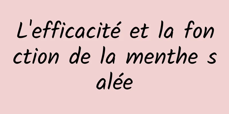 L'efficacité et la fonction de la menthe salée