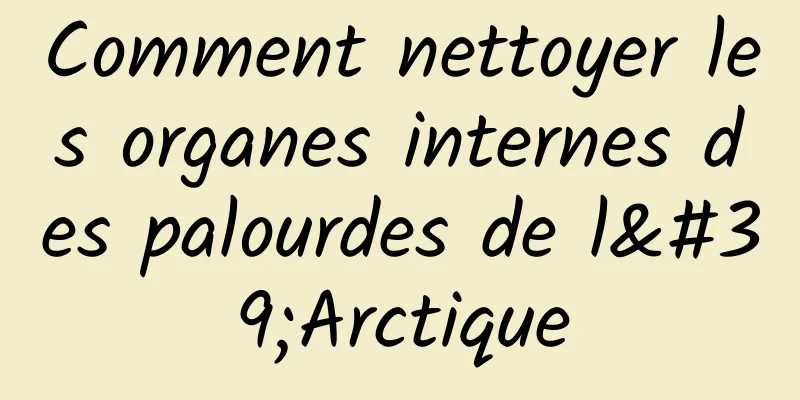 Comment nettoyer les organes internes des palourdes de l'Arctique