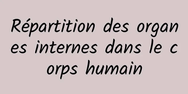 Répartition des organes internes dans le corps humain