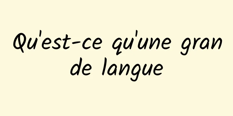 Qu'est-ce qu'une grande langue