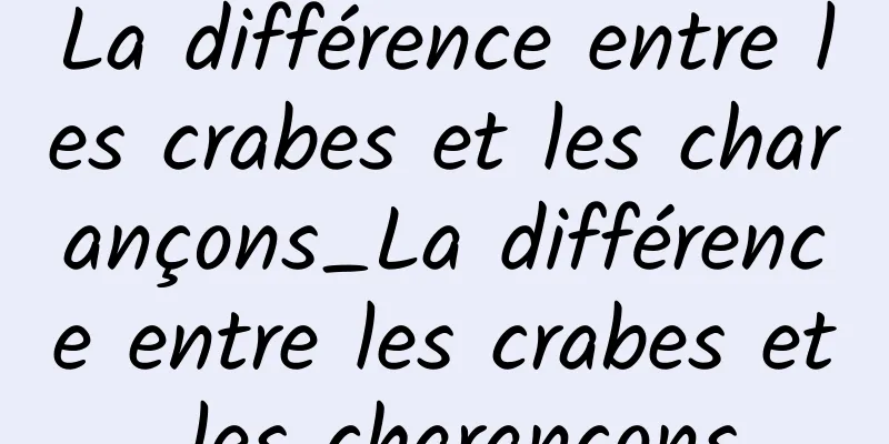 La différence entre les crabes et les charançons_La différence entre les crabes et les charançons