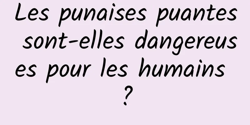 Les punaises puantes sont-elles dangereuses pour les humains ?