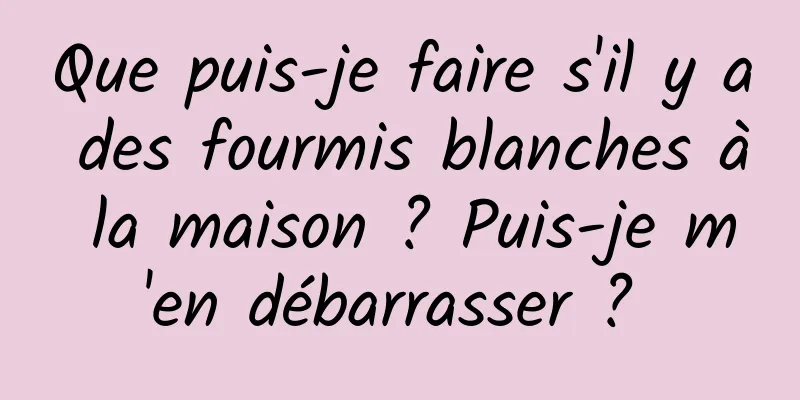 Que puis-je faire s'il y a des fourmis blanches à la maison ? Puis-je m'en débarrasser ? 