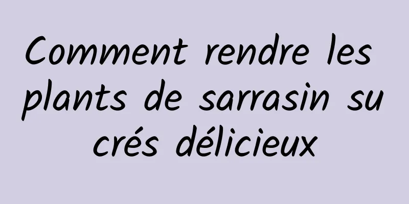 Comment rendre les plants de sarrasin sucrés délicieux