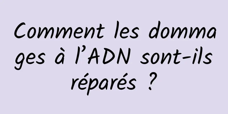 Comment les dommages à l’ADN sont-ils réparés ? 