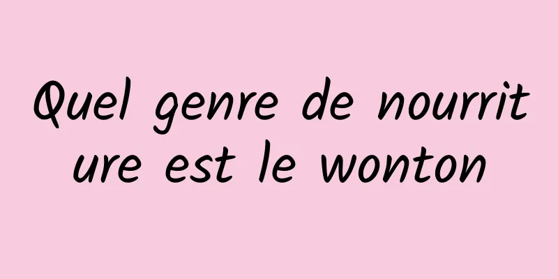 Quel genre de nourriture est le wonton