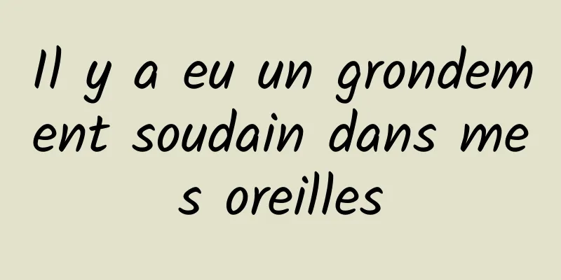 Il y a eu un grondement soudain dans mes oreilles