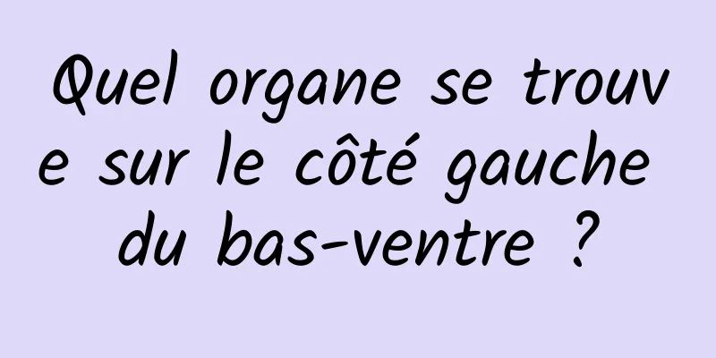 Quel organe se trouve sur le côté gauche du bas-ventre ?