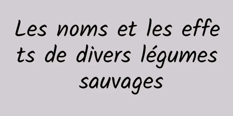 Les noms et les effets de divers légumes sauvages