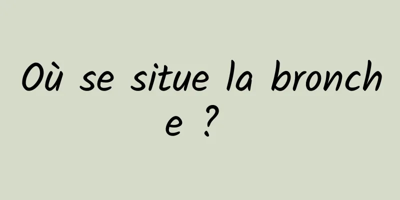 Où se situe la bronche ? 