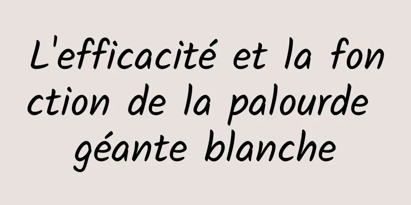 L'efficacité et la fonction de la palourde géante blanche