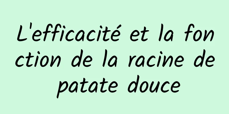 L'efficacité et la fonction de la racine de patate douce