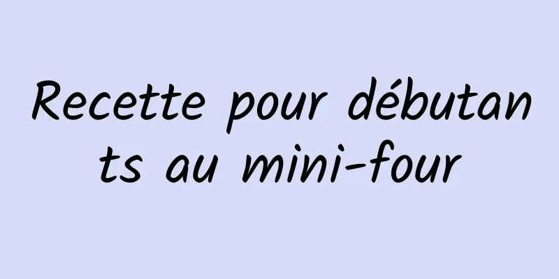 Recette pour débutants au mini-four