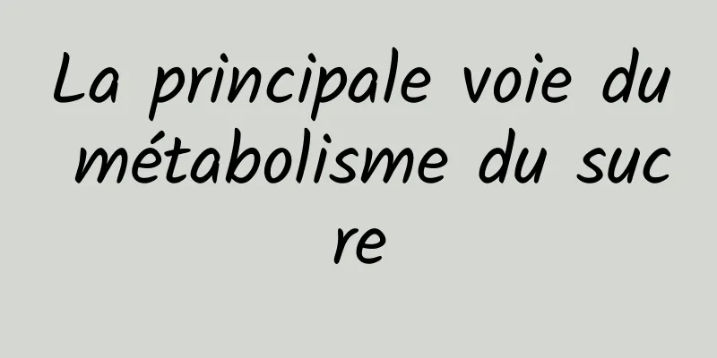 La principale voie du métabolisme du sucre