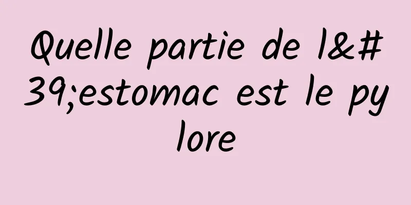 Quelle partie de l'estomac est le pylore