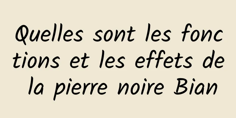 Quelles sont les fonctions et les effets de la pierre noire Bian