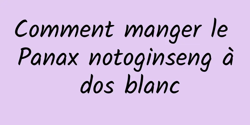 Comment manger le Panax notoginseng à dos blanc