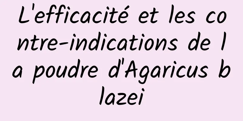 L'efficacité et les contre-indications de la poudre d'Agaricus blazei