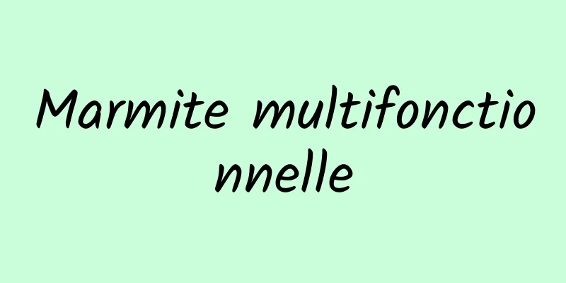 Marmite multifonctionnelle