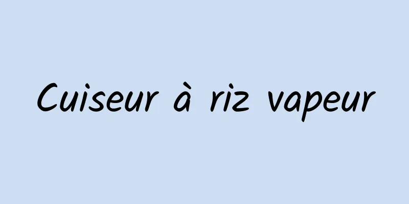 Cuiseur à riz vapeur