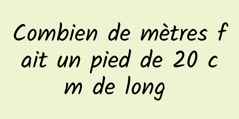 Combien de mètres fait un pied de 20 cm de long 