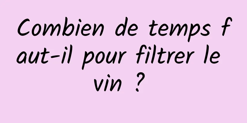 Combien de temps faut-il pour filtrer le vin ? 